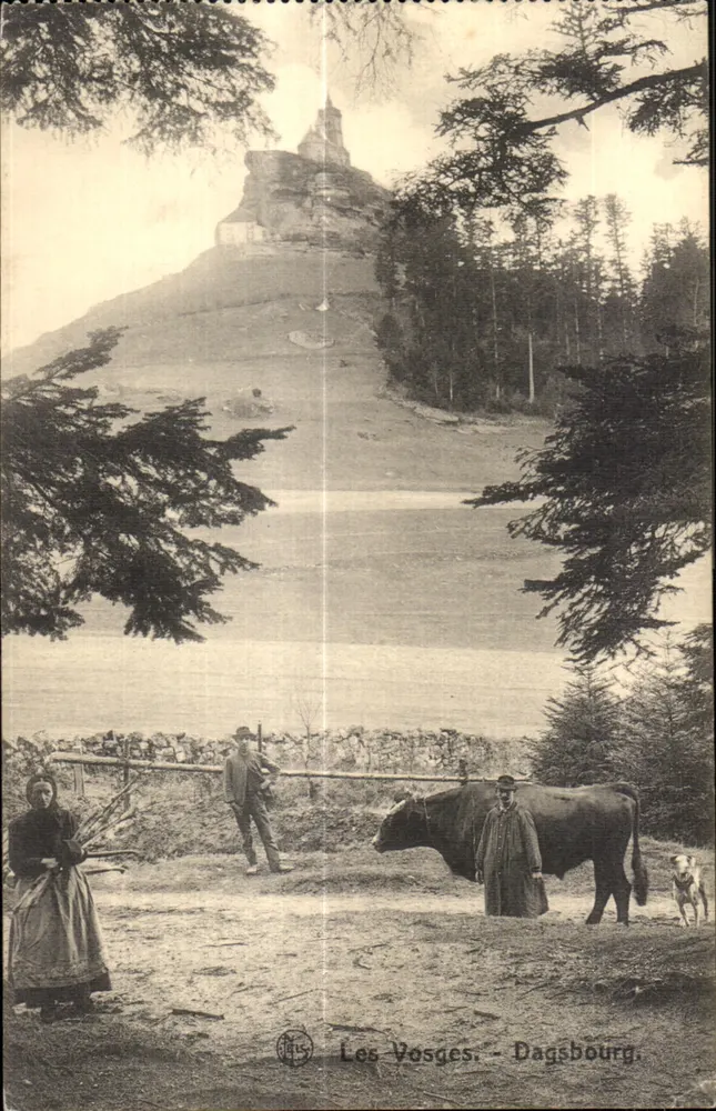 Les Vosges - Dagsbourg — vista do castelo sobre rocha com camponeses e vaca - Frente