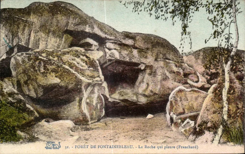 Wald von Fontainebleau — Der weinende Felsen (Franchard) — Verlag unbekannt, Nr. 31 - Vorderseite