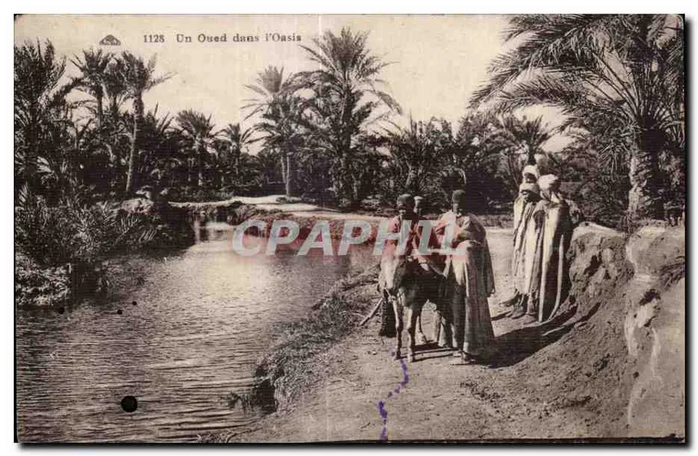Ein Wadi in der Oase — unbekannter Verlag, n° 1128 - Vorderseite