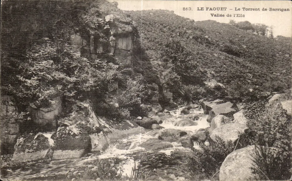 Le Faouët — Der Barrigan-Bach — Tal der Ellé — n° 513 - Vorderseite