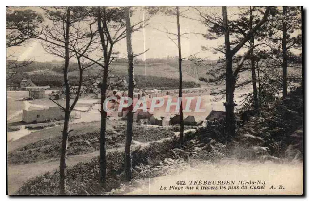 Trébeurden (C.-du-N.) — Die Strände durch die Kiefern des Schlosses gesehen — A. B. - Vorderseite
