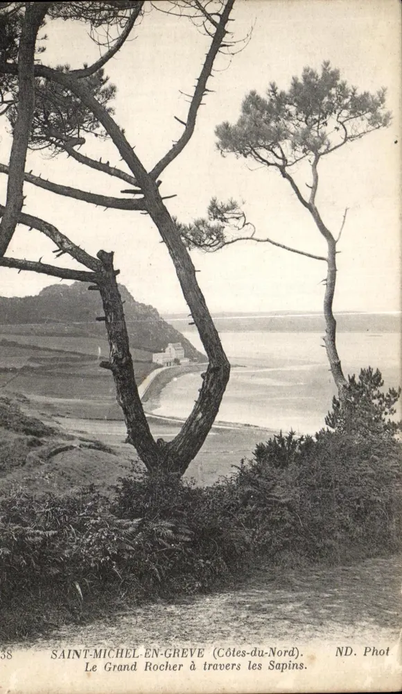 Saint-Michel-en-Grève (Côtes-du-Nord) — Der Große Felsen durch die Tannen — ND. Phot - Vorderseite