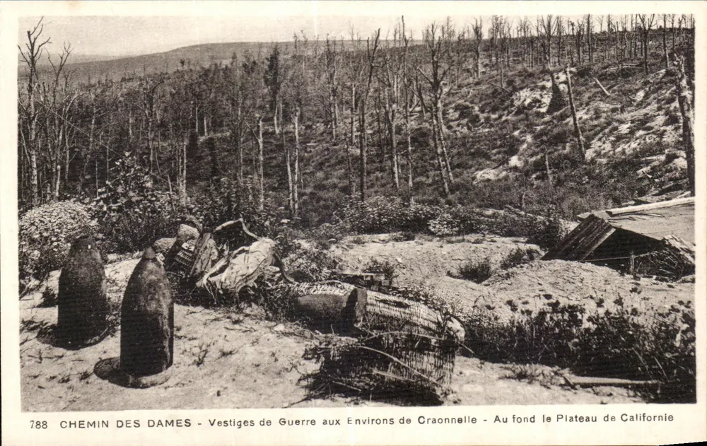 Chemin des Dames — Kriegsreste in der Umgebung von Craonnelle — Im Hintergrund der Plateau de Californie - Vorderseite