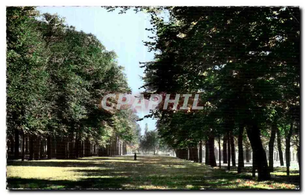Les Champs-Élysées — ST-QUENTIN (Aisne) — Fotógrafo desconhecido - Frente