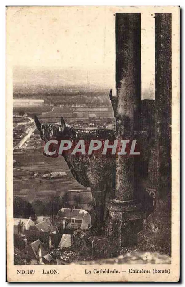 Laon. La Cathédrale — Chimères (bœufs) - Frente