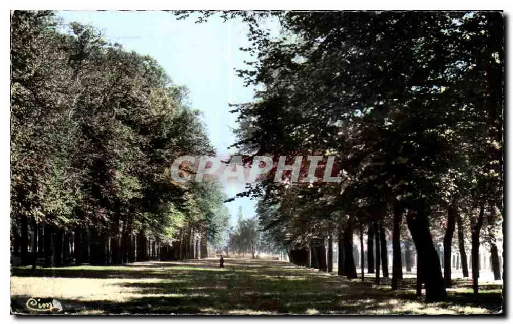 St-Quentin (Aisne) — Les Champs Elysées — Coleção Crayton 'CIM' (S.-d-L.) - Frente