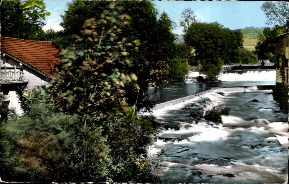 Sirod — L'Ain — Paisaje pintoresco del Jura — Ediciones F. Bey - Anverso