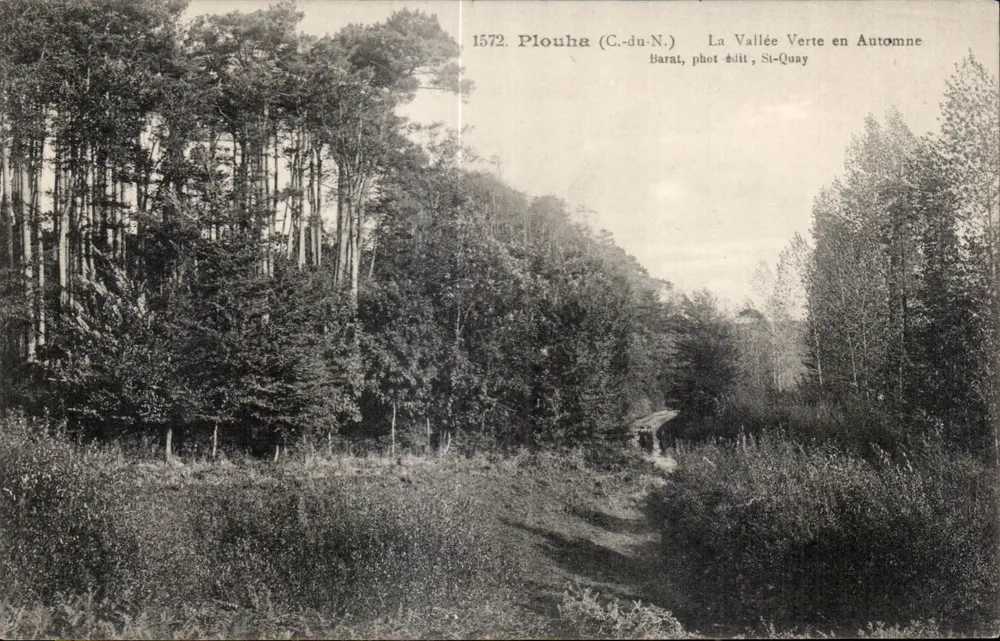 Plouha (C.-du-N.) — Ansicht der grünen Schlucht im Herbst — Barat, Foto-Verlag, St-Quay - Vorderseite