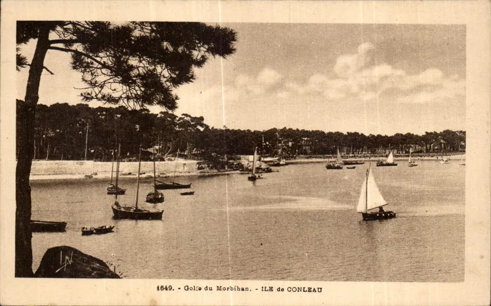 Ilha de Conleau — Golfo do Morbihan — n° 1649 - Frente