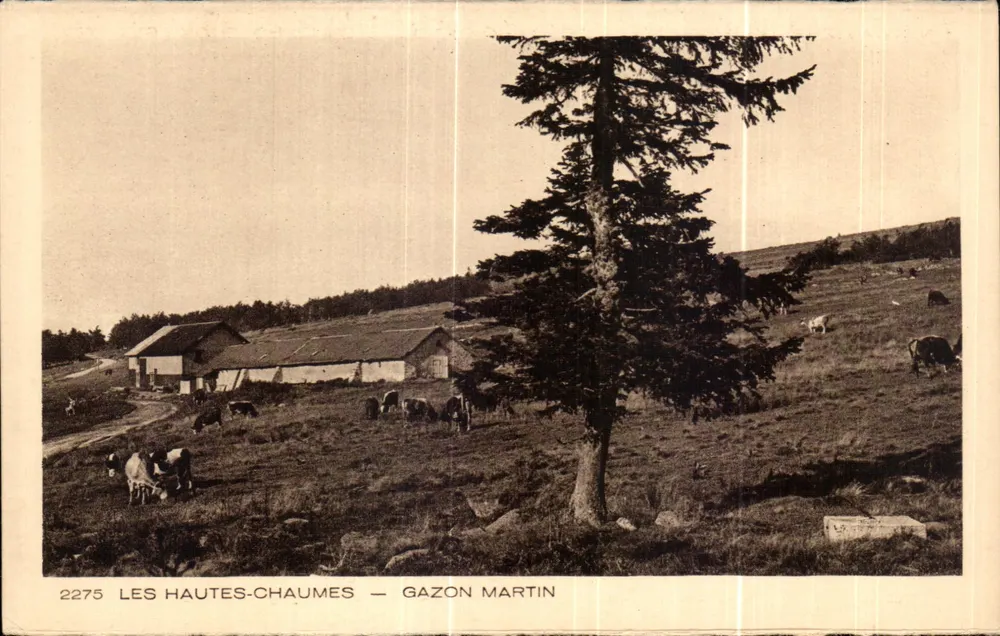 Les Hautes-Chaumes — Gazon Martin - Frente