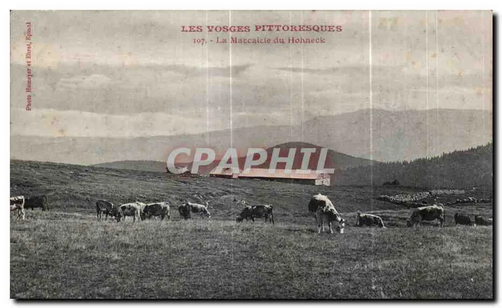 Pittoreske Vosges — Die Marciac des Hohneck — Photo Houmayer et Ehré, Epinal, n°107 - Vorderseite