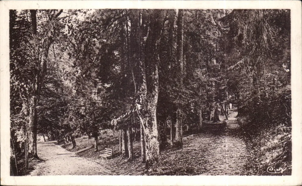 Remiremont (Vosges) — Promenade du Calvaire — Verleger Ciny - Vorderseite