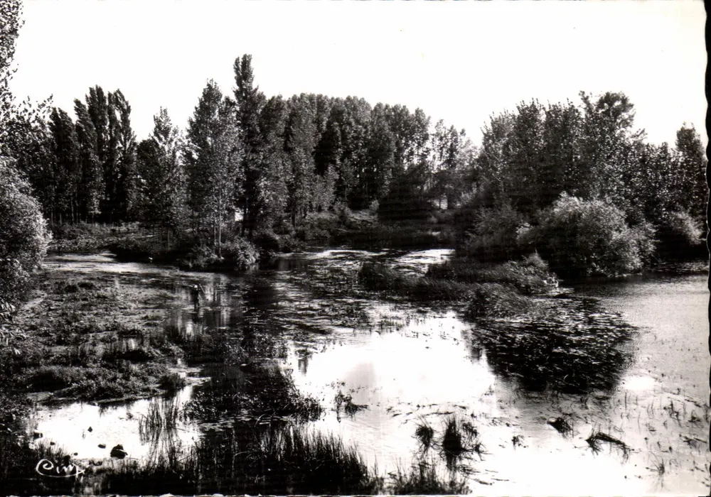 Les Îles — Tournon-St-Martin (Indre) — Photo Gachier Mâcon - Frente