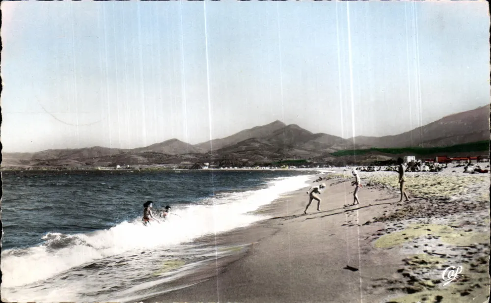 Argelès-sur-Mer — A Praia — Réal-Photo n°1575 - Frente