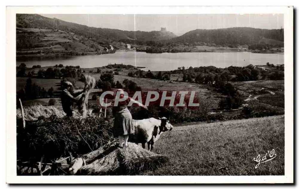 Landschaft mit Kuh und Arbeitern — Lac Chambon, Auvergne — Foto G. Gouin, Olliergues - Vorderseite
