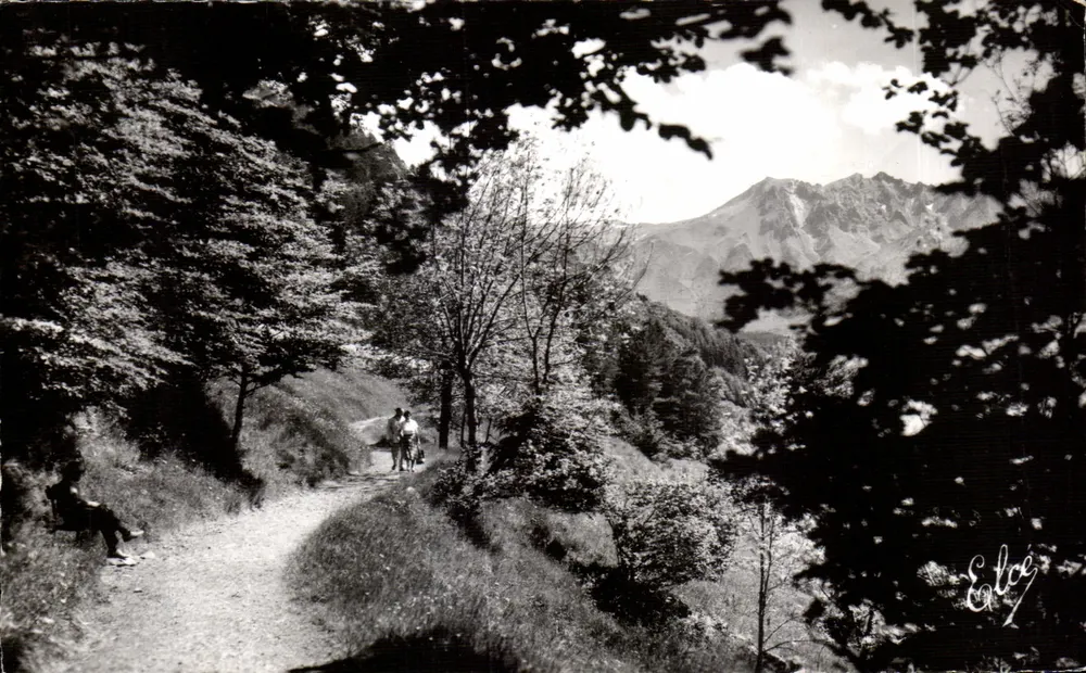 Ausblick auf die Sancy-Tal — Mont-Dore — Verlag E. Lice - Vorderseite