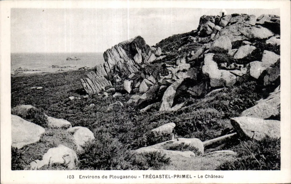 Umgebung von Plougasnou - Trégastel-Primel - Das Schloss — Antike Ansichtskarte n°103 - Vorderseite