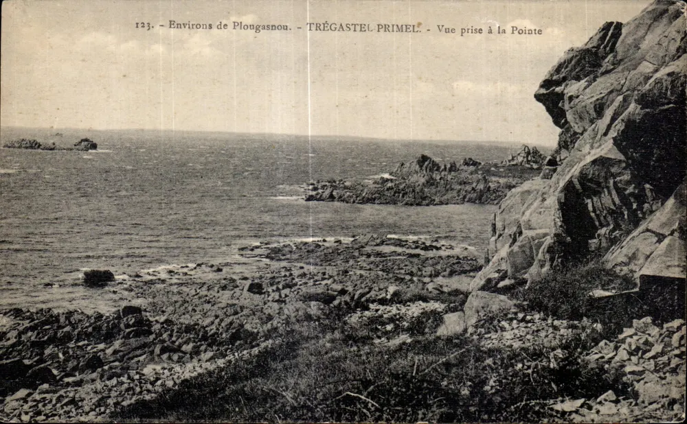 Aussicht von Plongasnow - Trégastel-Primel - Aussicht vom Punkt genommen - Vorderseite