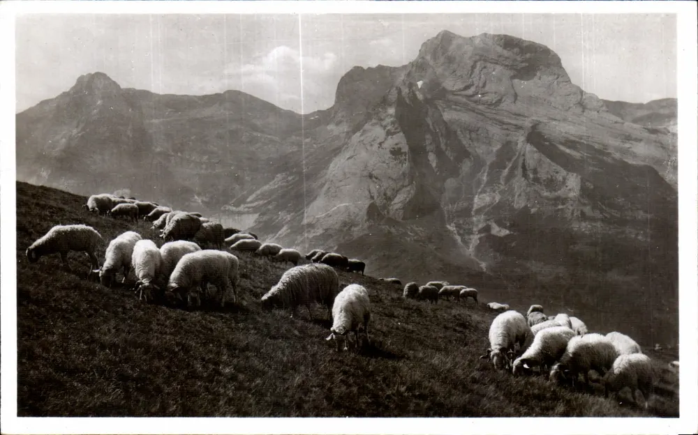 O Pic de Ger (alt. 2612 m.) — Vista do Col d'Aubisque — Edição Foto QUINZAULT — Lourdes - Frente