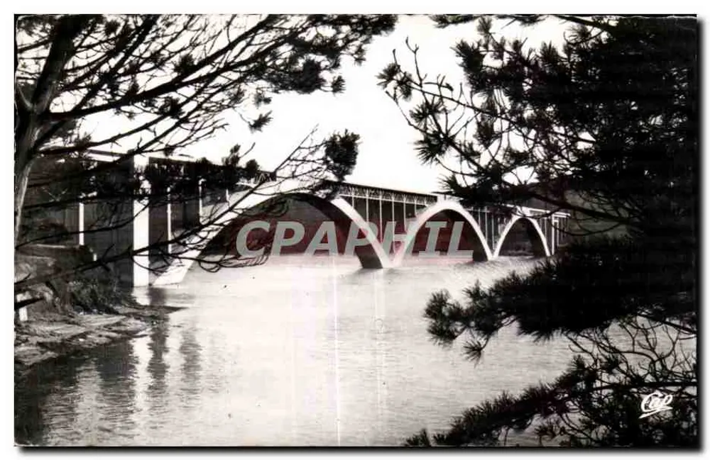 Pont de Plougasnet-Daoulas — über die Kiefern — C.A.P. (57) — Verlag C.A.P. (57) - Vorderseite