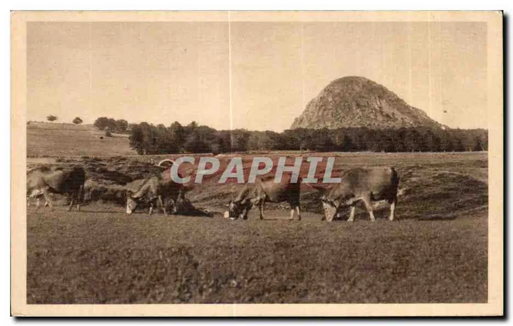 Der Berg GERBIER-dés-JONCS (Ardèche) — Höhe 1.000 m — Eine Herde, die grasst — Künstlereditionen Haond Colispi, Lac d’Issarlès (Ardèche) - Vorderseite