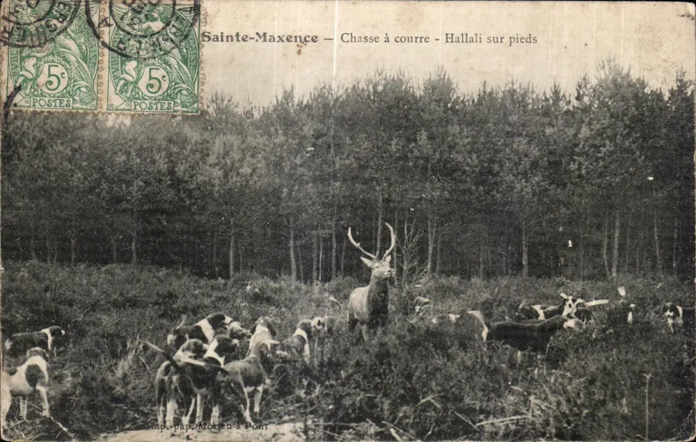 Sainte-Maxence — Jagd — Galopp zu Fuß — Imp. pap. Motien à Pont - Vorderseite