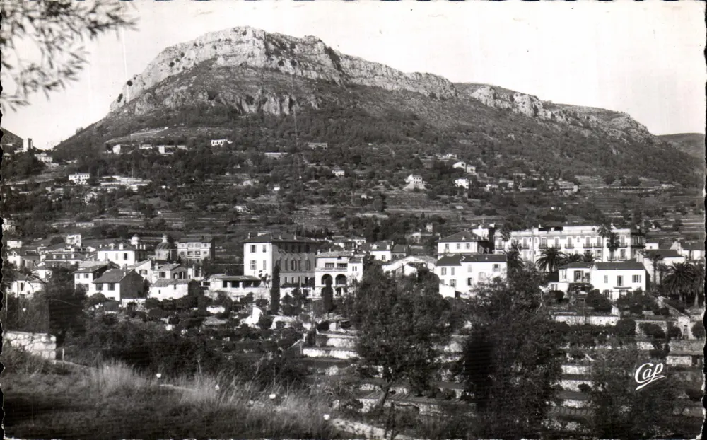 Vence — Ansicht der Stadt und des Baou des Blancs — Real Photo - Cie des Arts Phylumicon (Paris) - Vorderseite