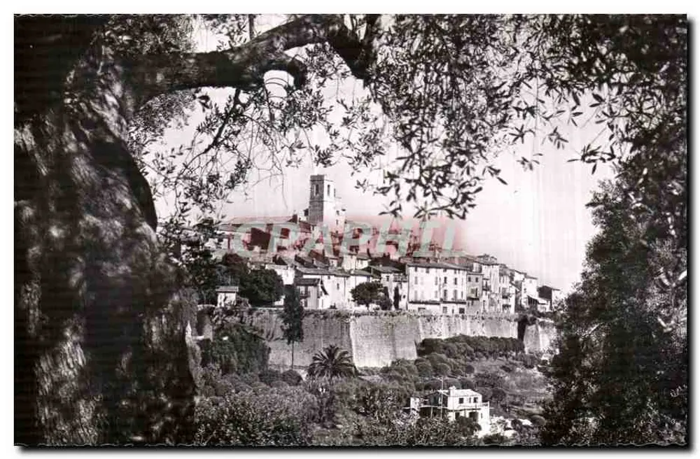 Saint-Paul (A.M.) — Ansicht zwischen Olivenbäumen — L. Ghiletta & Cie, Nice - Vorderseite