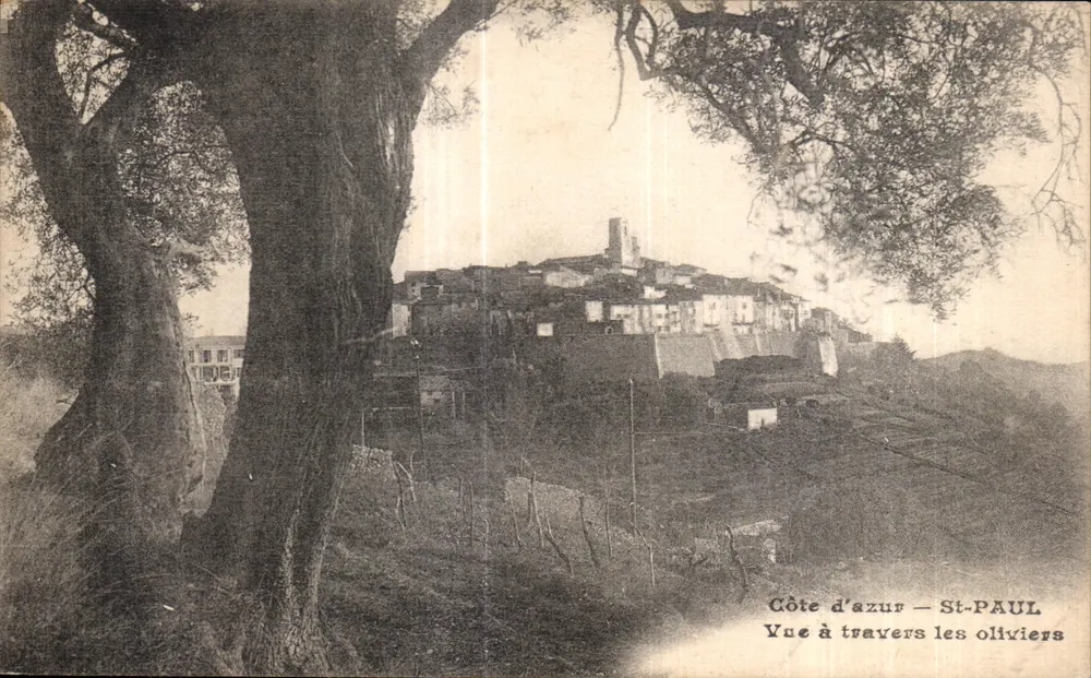 Côte d'Azur — St-PAUL — Ansicht durch die Olivenbäume - Vorderseite