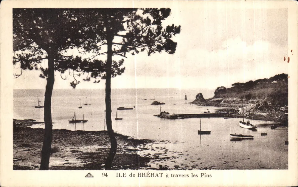 Ilha de Bréhat — vista através dos pinheiros — editor CPAPHIL, n° 94 - Frente