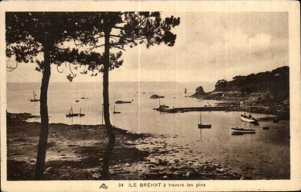 Ilha Bréhat — através dos pinheiros — Levy & Neurdein-founs, n°94 - Frente