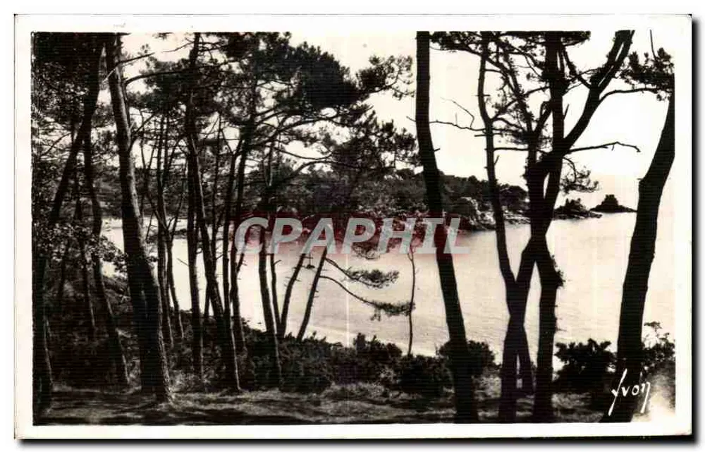 Insel Bréhat (Côtes-du-Nord) — Die Kiefern und das Meer — Les Éditions d'Art Yvon, Paris - Vorderseite