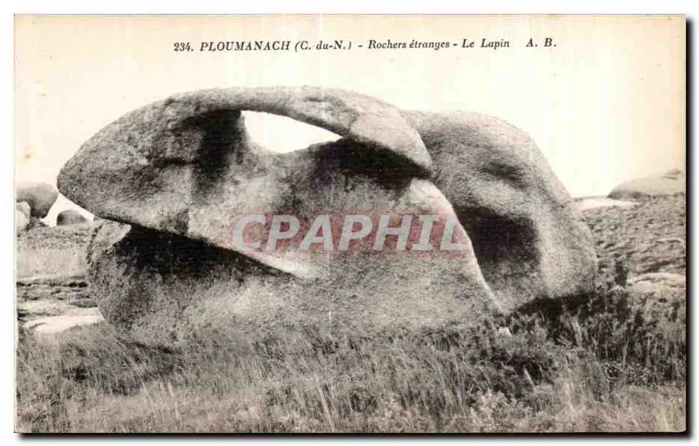 PLOUMANACH (C. du-N.) - Rochers étranges - Le Lapin - A. B. - Frente