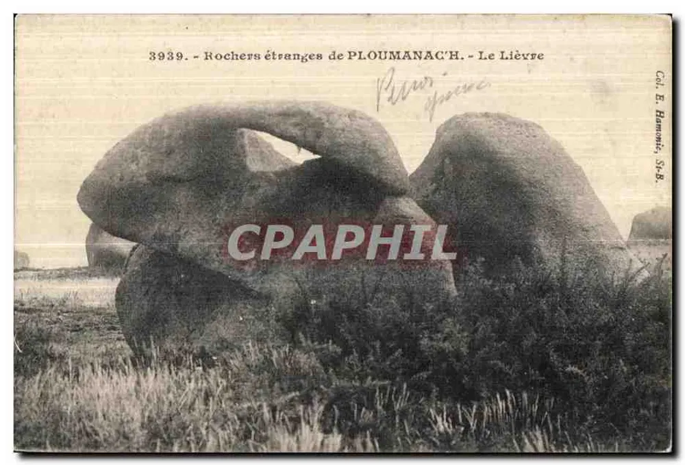 Merkwürdige Felsen von PLOUMANAC'H - Das Kaninchen — Verlag E. Hamonot, Serie 3939 - Vorderseite