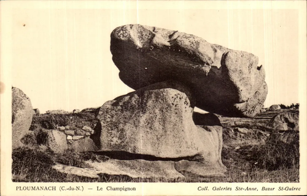 Ploumanach (C.-du-N.) — Le Champignon — Coleção Galeries Ste-Anne, Bazar St-Guirec - Frente