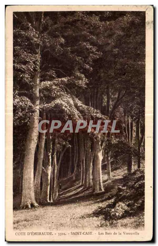 Les Bois de la Vieuxville — Côte d'Émeraude, Saint-Cast — n° 3301 - Frente