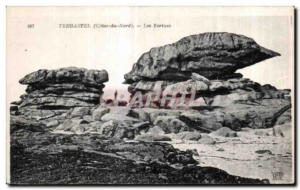 TREGASTEL (Côtes-du-Nord) — Ansicht der Schildkröten — Graphil - Vorderseite