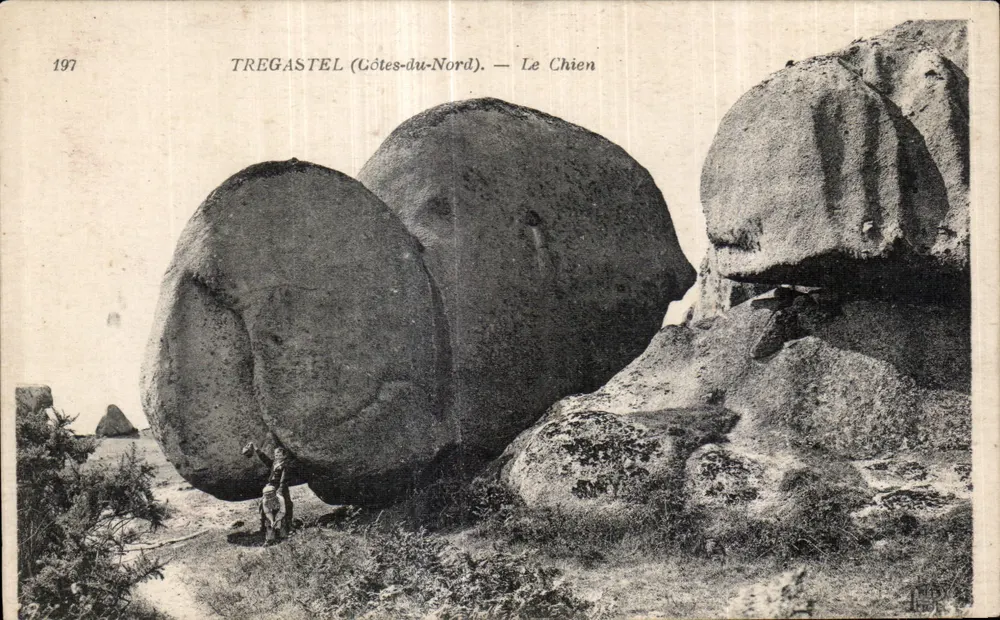 TREGASTEL (Côtes-du-Nord) — Il Cane — Antichi Stalls, Tip. Bretteil, Parigi - Recto
