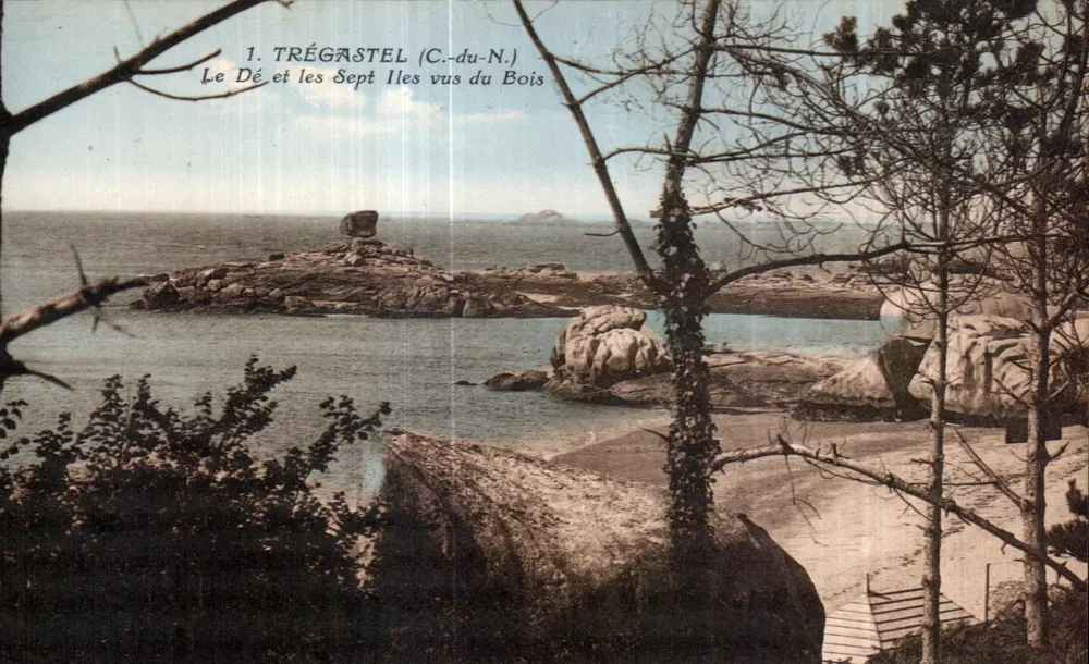 Trégastel (C.-du-N.) — Der Dé und die Sieben Inseln vom Wald aus gesehen - Vorderseite
