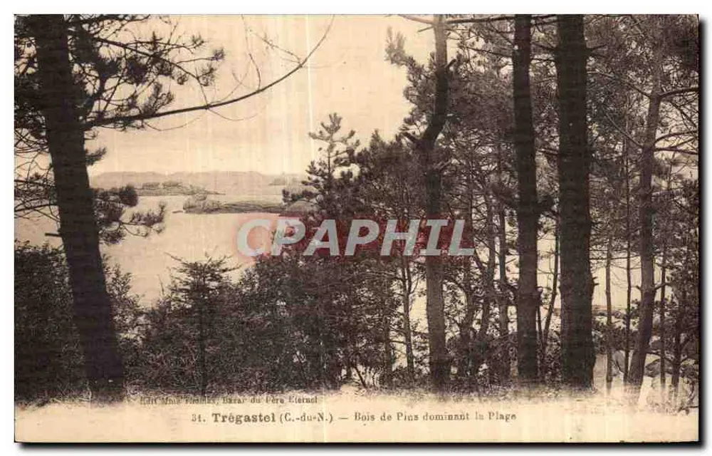 Trégastel (C.-du-N.) — Pinienwald über der Strand - Vorderseite