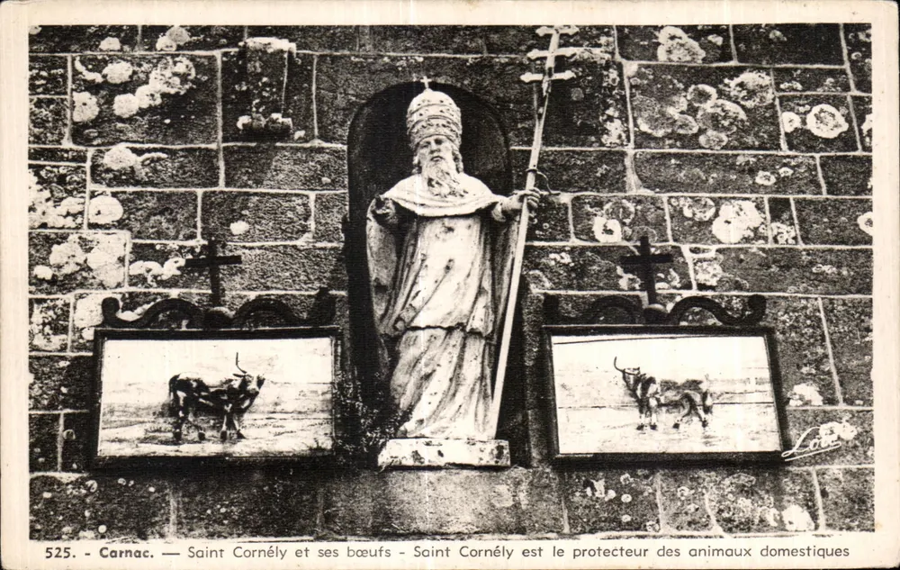 Carnac — Saint Cornély und seine Ochsen — Verleger Laurent-Nel, Rennes, n° 525 - Vorderseite