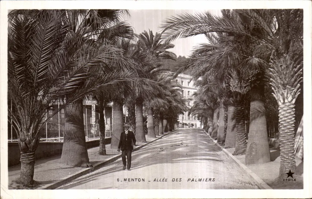 Menton - Avenida dos Palmeiras — editor Etoile, n°6 - Frente