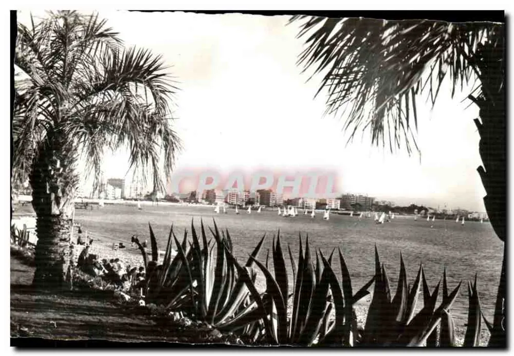 Cannes (A.M.) — As Regatas — Éditions Photoguy - Frente