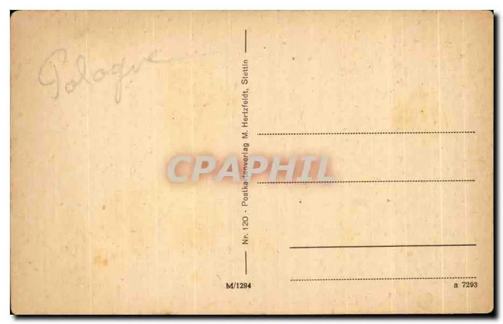 Stettin, Hakenterrasse — Panoramablick auf Gebäude und Park — Postkartenverlag M. Herzfeldt, n° 120 - Rückseite