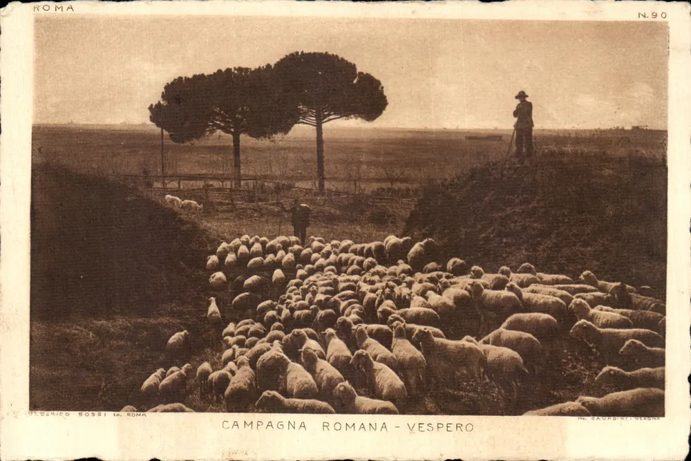 Campagna Romana - Vespero — scène de bergerie avec troupeau de moutons et deux pins, éditeur Vincenzo Bossi tel. Roma, N.90 - Vorderseite