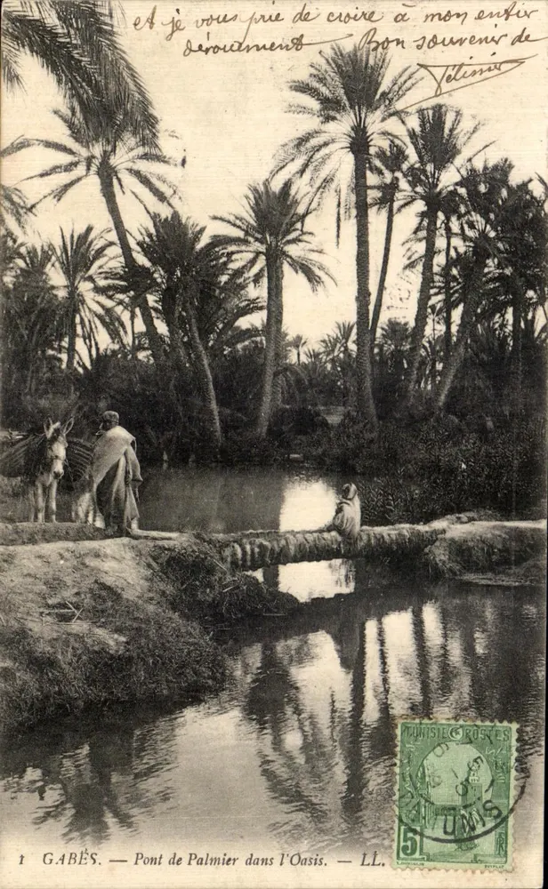 Gabès — Brücke der Palmen in der Oase — LL. - Vorderseite