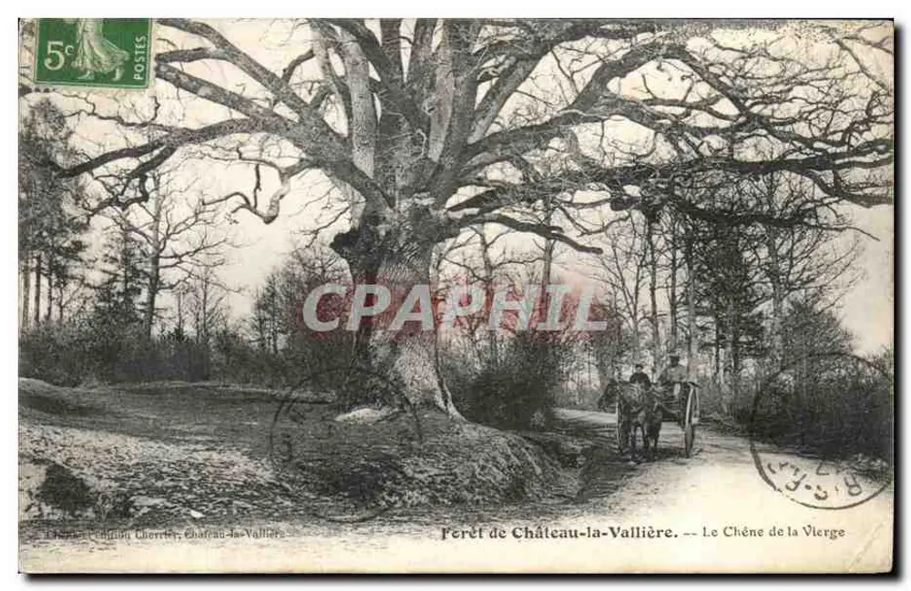 Château-la-Vallière — Der Eiche der Jungfrau — Verlag Chérrier - Vorderseite