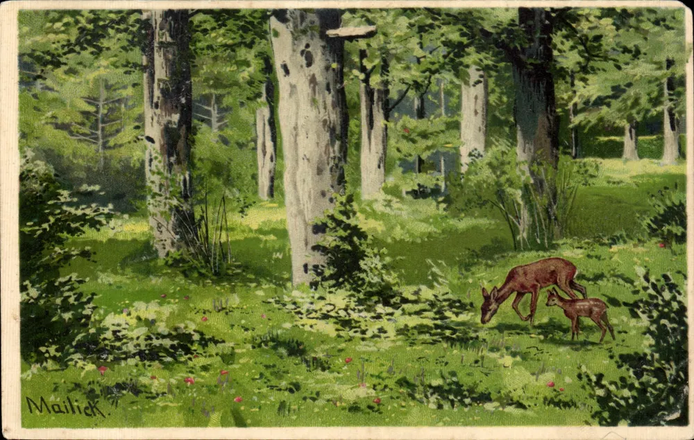 Dois cervos em uma floresta — ilustração de Mailick — editor W. 5197 - Frente