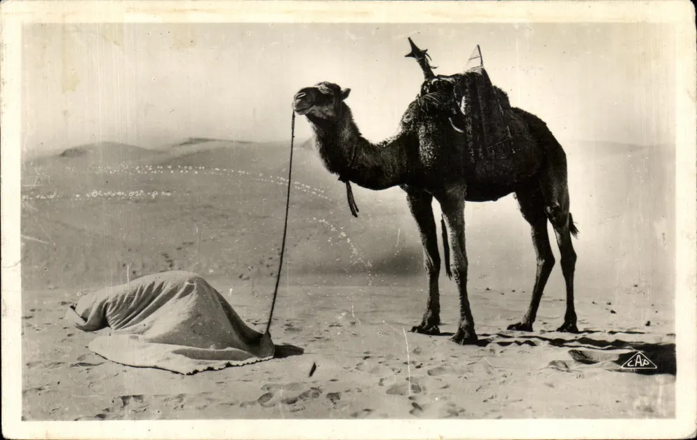 Deserto tunisino — Scena con cammello e tenda — C.A.P. 4120 - Recto