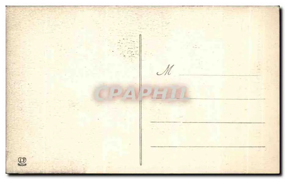 Junges Pyrenäen-Mountainhundewelpe — 1. Monat — Viscos — Phototypie Larochegne, Toulouse - Rückseite